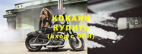 спиды Новозыбков