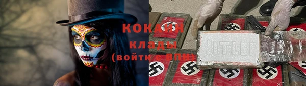 стафф Новодвинск
