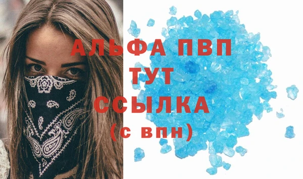 стафф Новодвинск