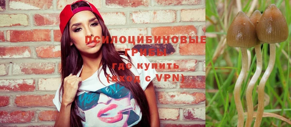 спиды Новозыбков