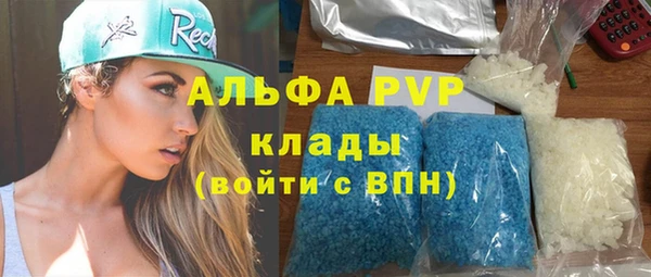 спиды Новозыбков