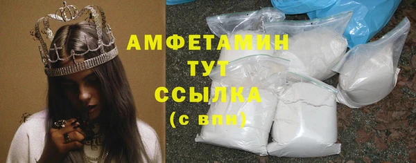 спиды Новозыбков