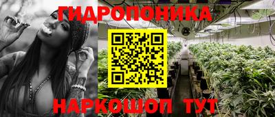 метадон Камышлов