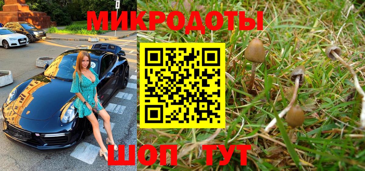 Севастополь  Псилоцибиновые грибы Psilocybe  Вход с VPN 
