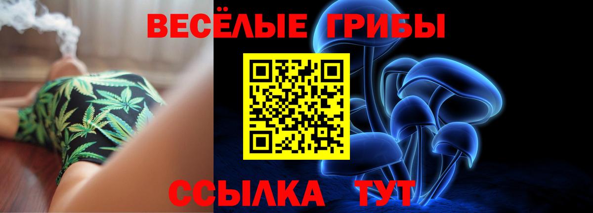 Галлюциногенные грибы мицелий  Псилоцибиновые грибы Cubensis  Севастополь 